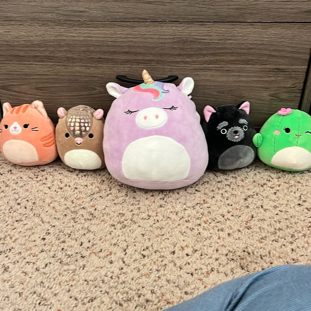 Squishmellow Bundle